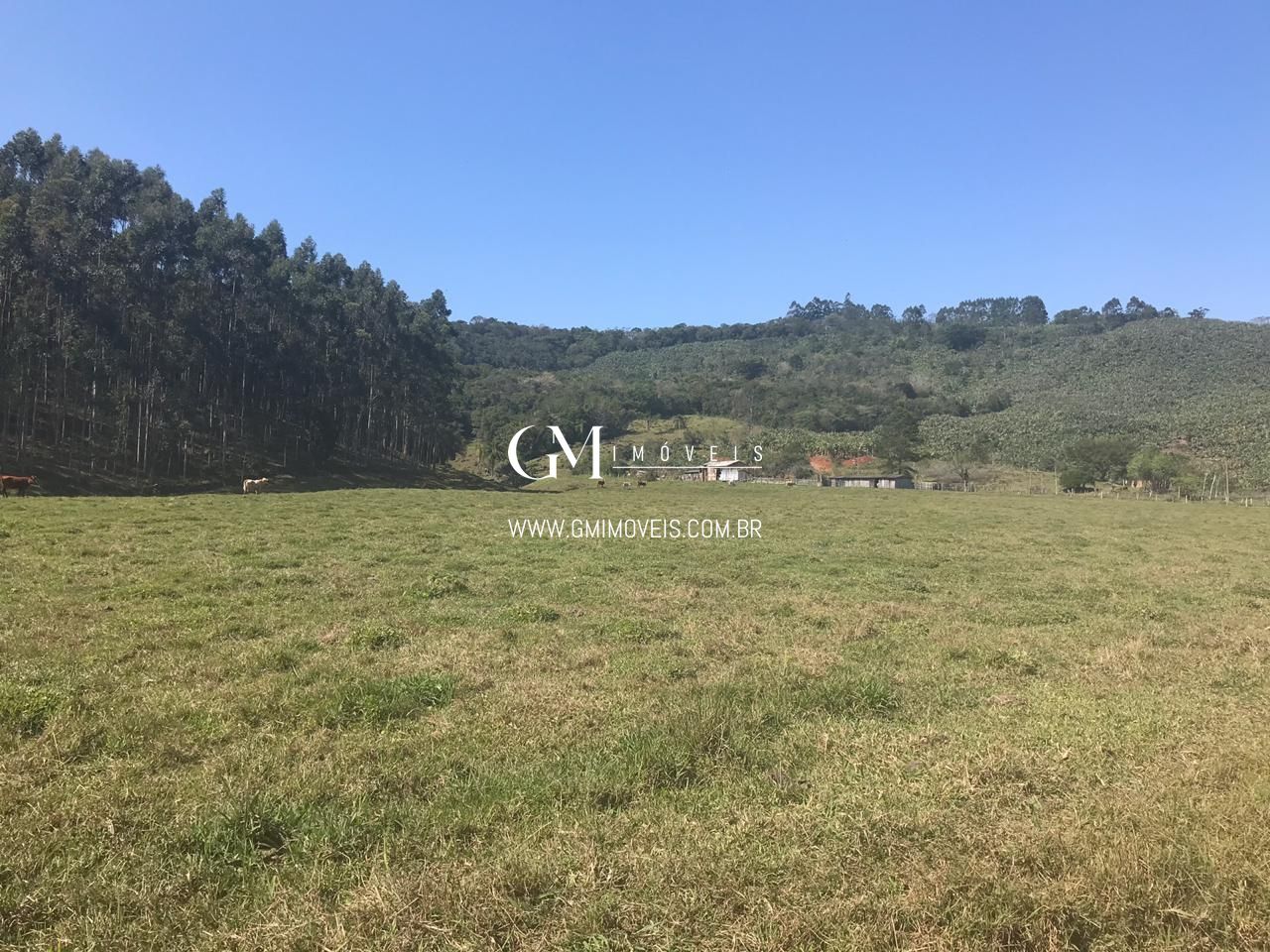 Fazenda à venda, 1350000000m² - Foto 5