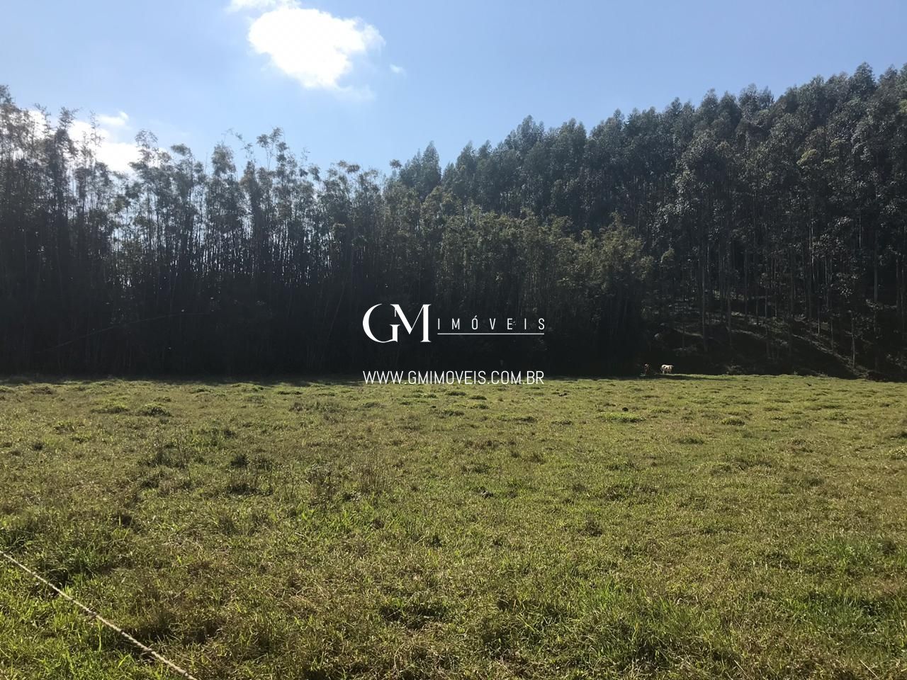 Fazenda à venda, 1350000000m² - Foto 3