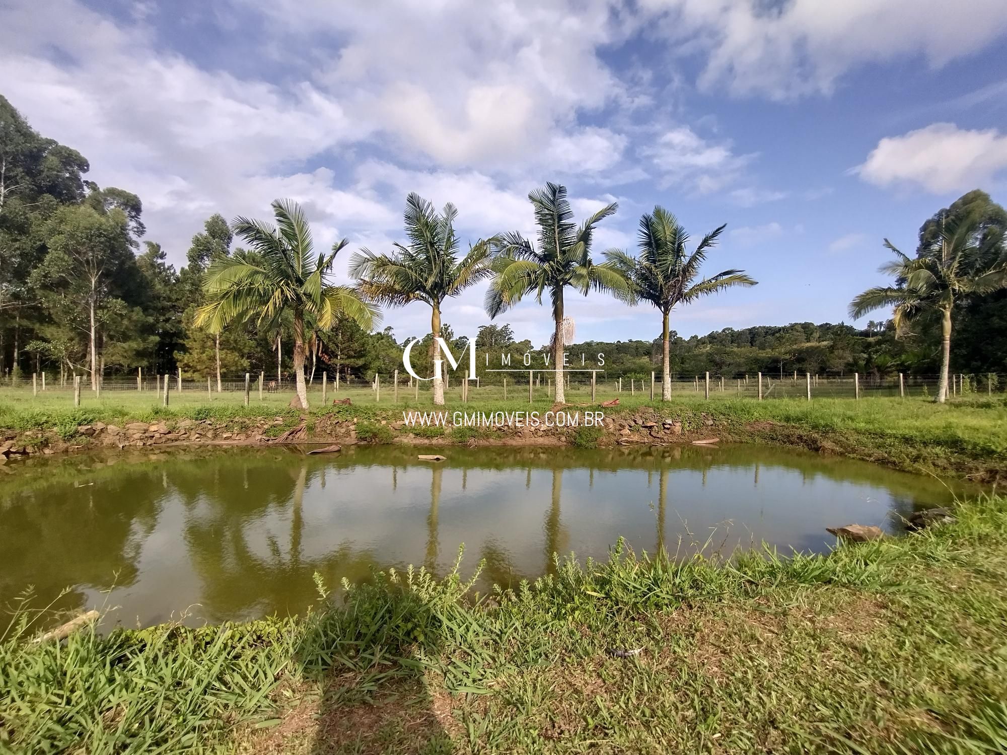 Sítio à venda com 2 quartos, 110000000m² - Foto 9
