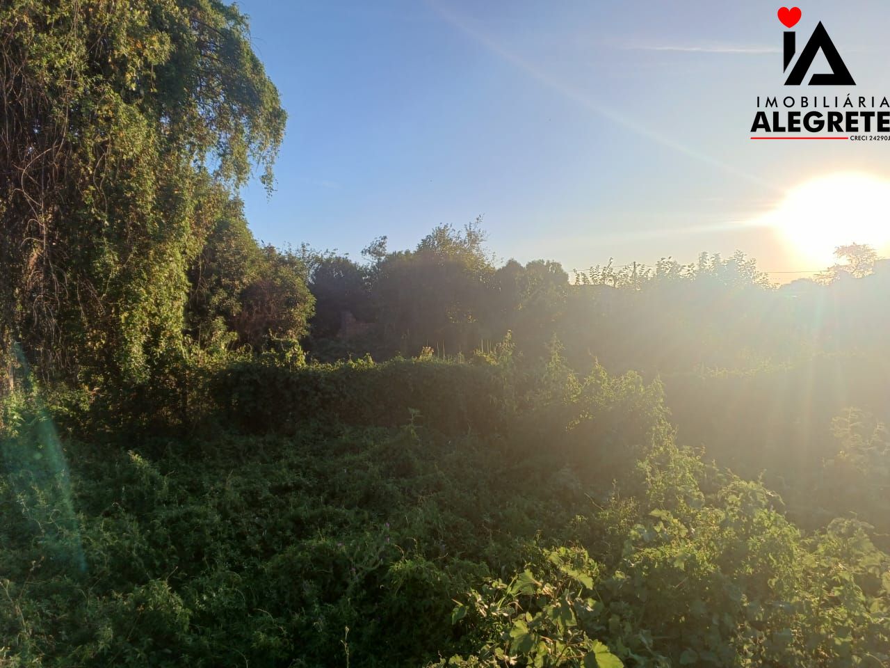 Terreno/Lote à venda  no Favila - Alegrete, RS. Imóveis