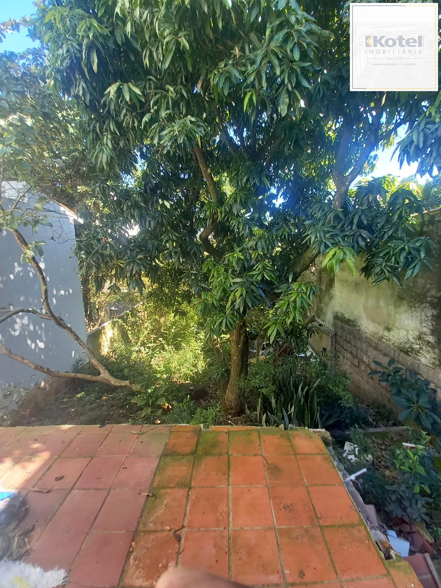 Casa/Terreno - — foto 4