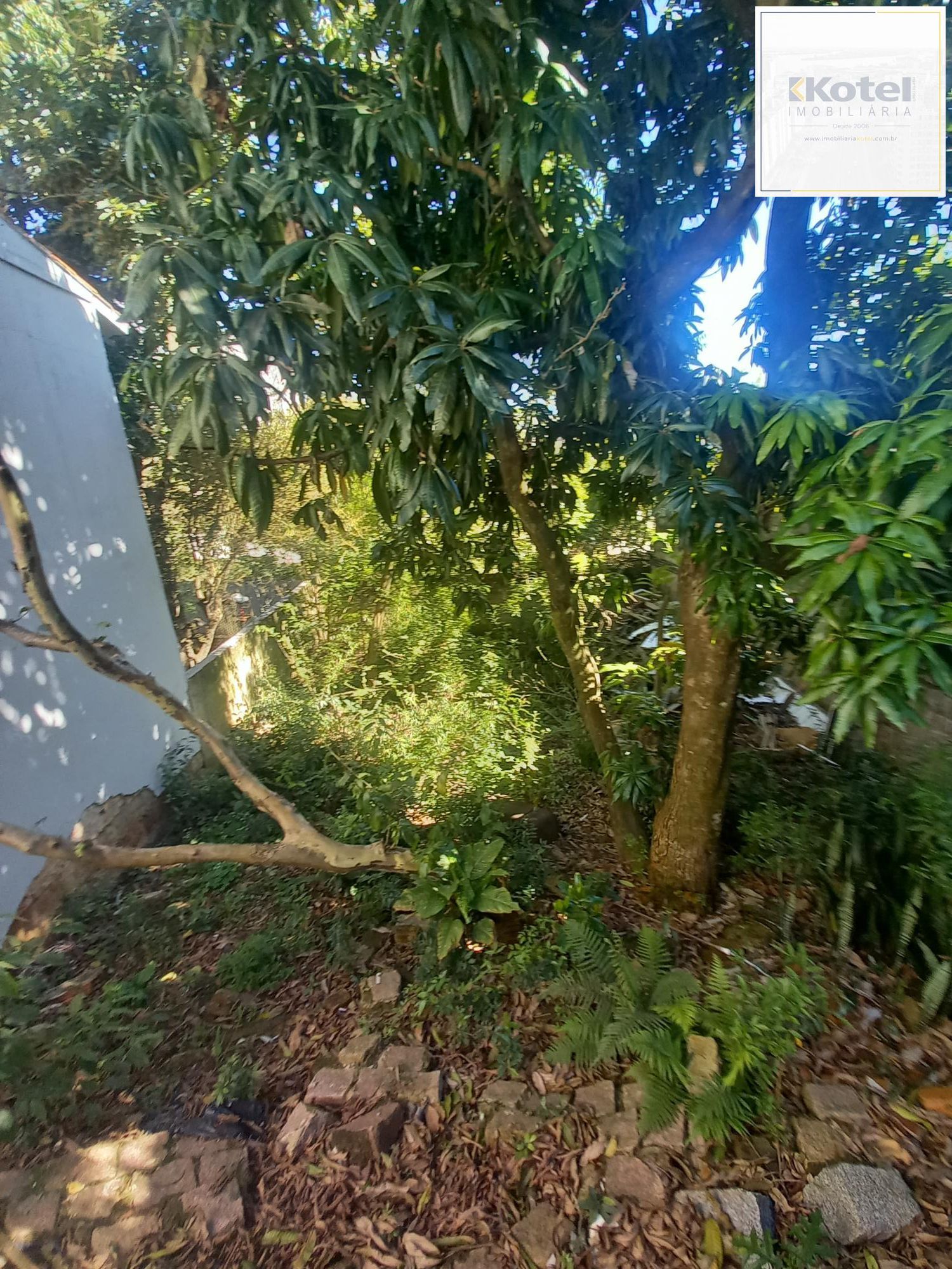 Casa/Terreno - — foto 3
