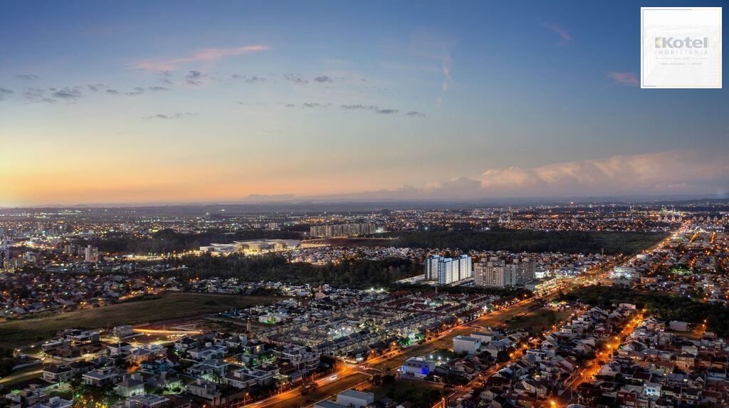 1172796.jpg