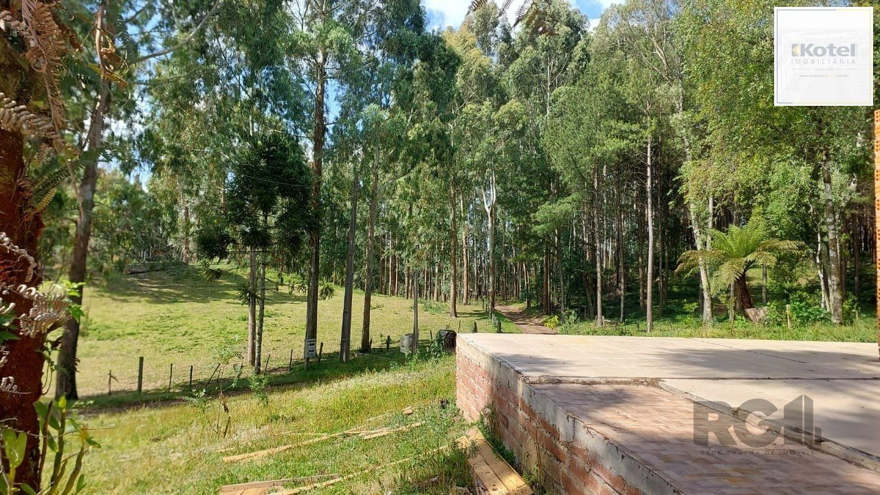 Sítio à venda, 350m², Várzea do Cedro - São Francisco de Paula — foto 3
