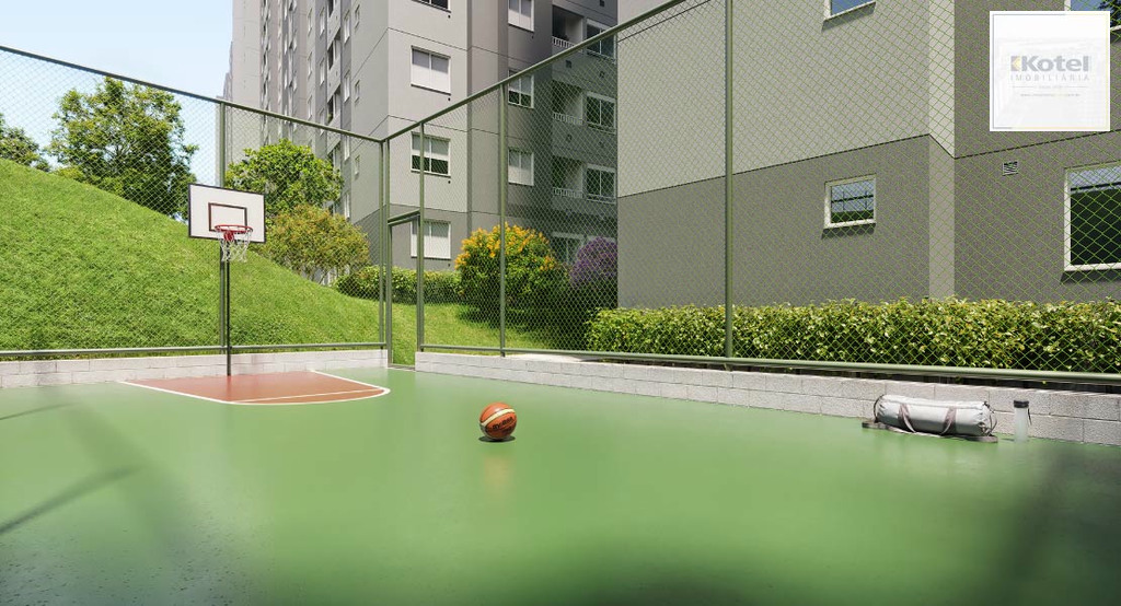 2528495.jpg