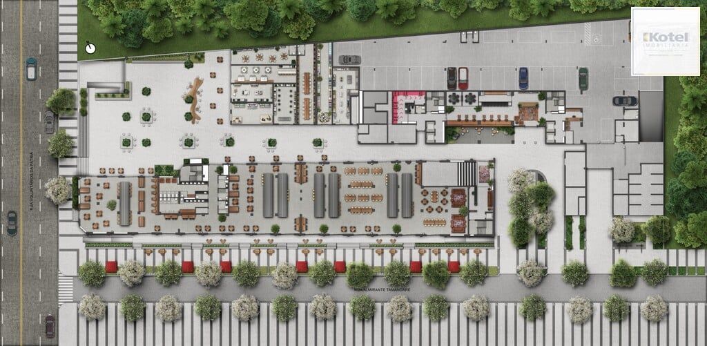 Plantas