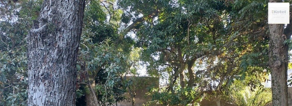 Terreno à venda, Menino Deus - Porto Alegre — foto 4