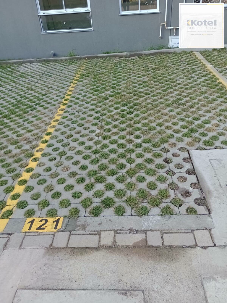 2562689.jpeg