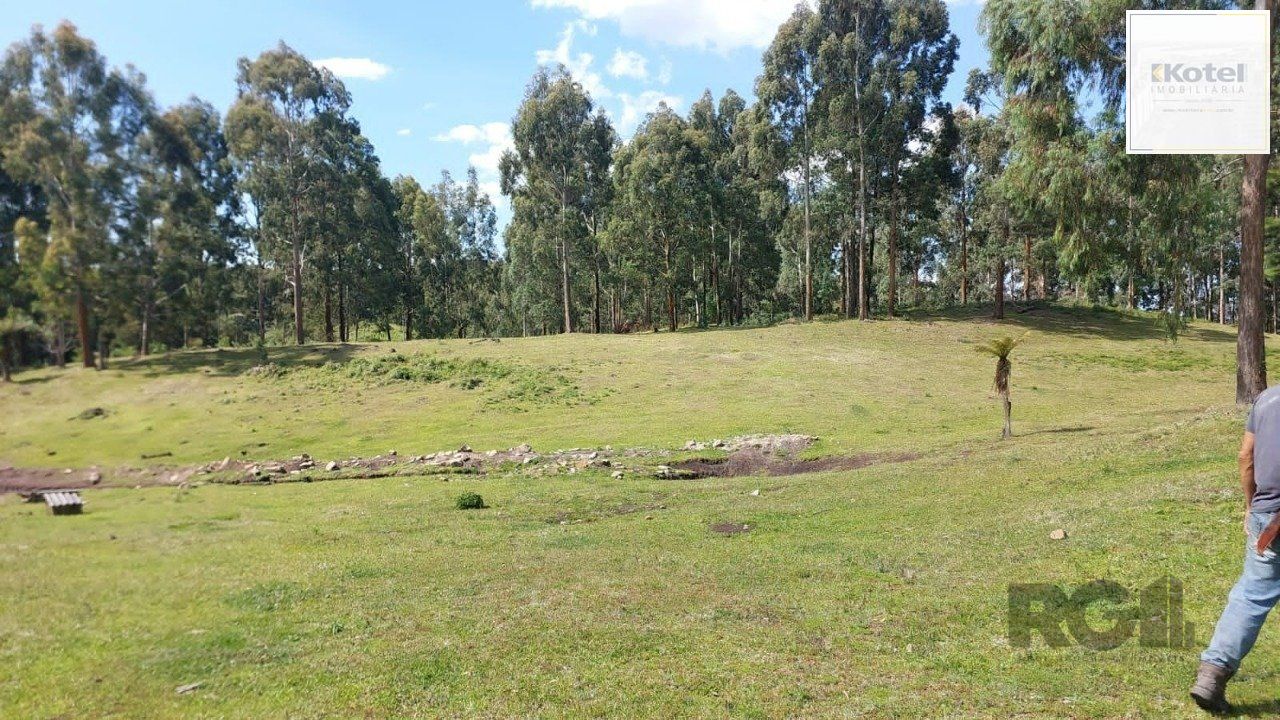 Sítio à venda, 350m², Várzea do Cedro - São Francisco de Paula — foto 5