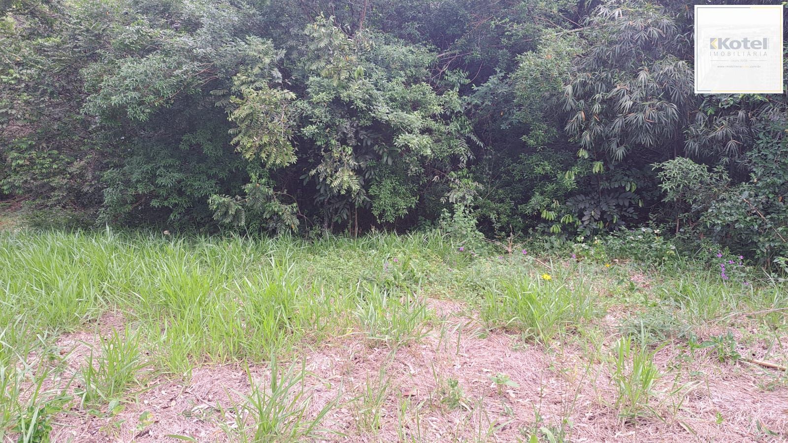 TERRENO BAIRRO EM CANOAS