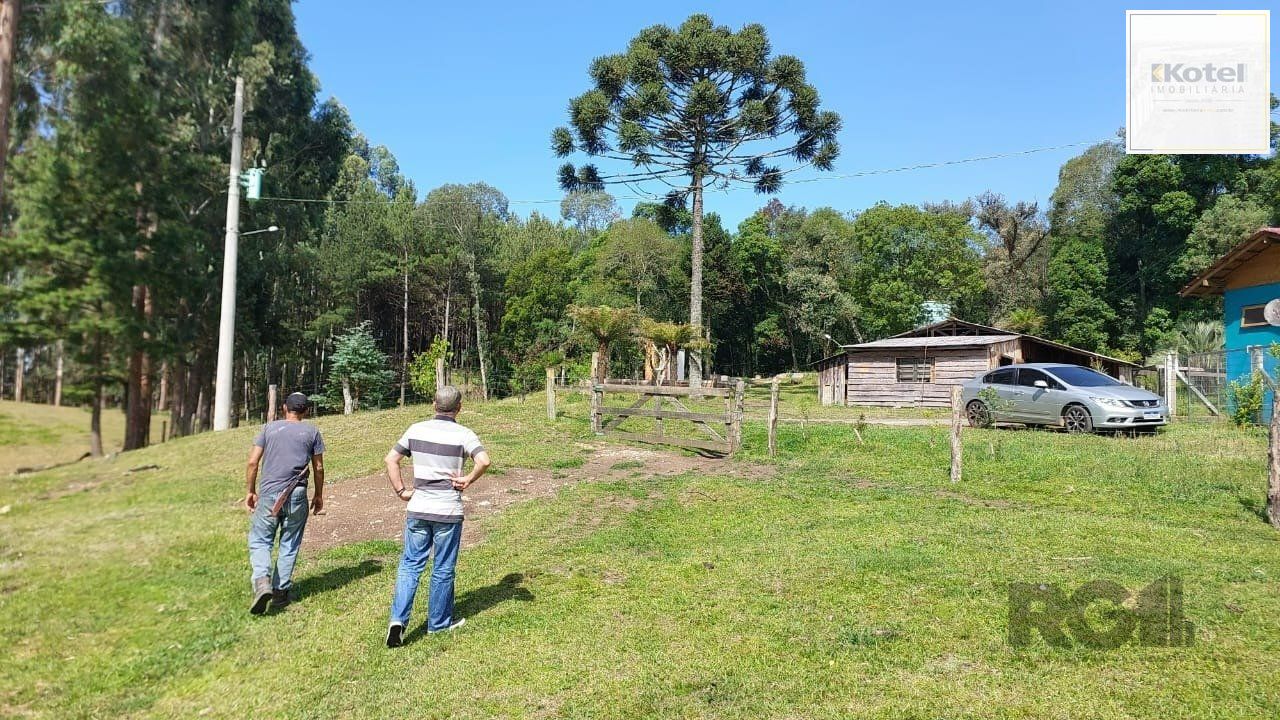 Sítio à venda, 350m², Várzea do Cedro - São Francisco de Paula — foto 4