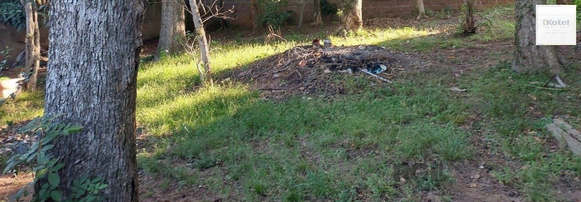 Terreno à venda, Menino Deus - Porto Alegre — foto 5