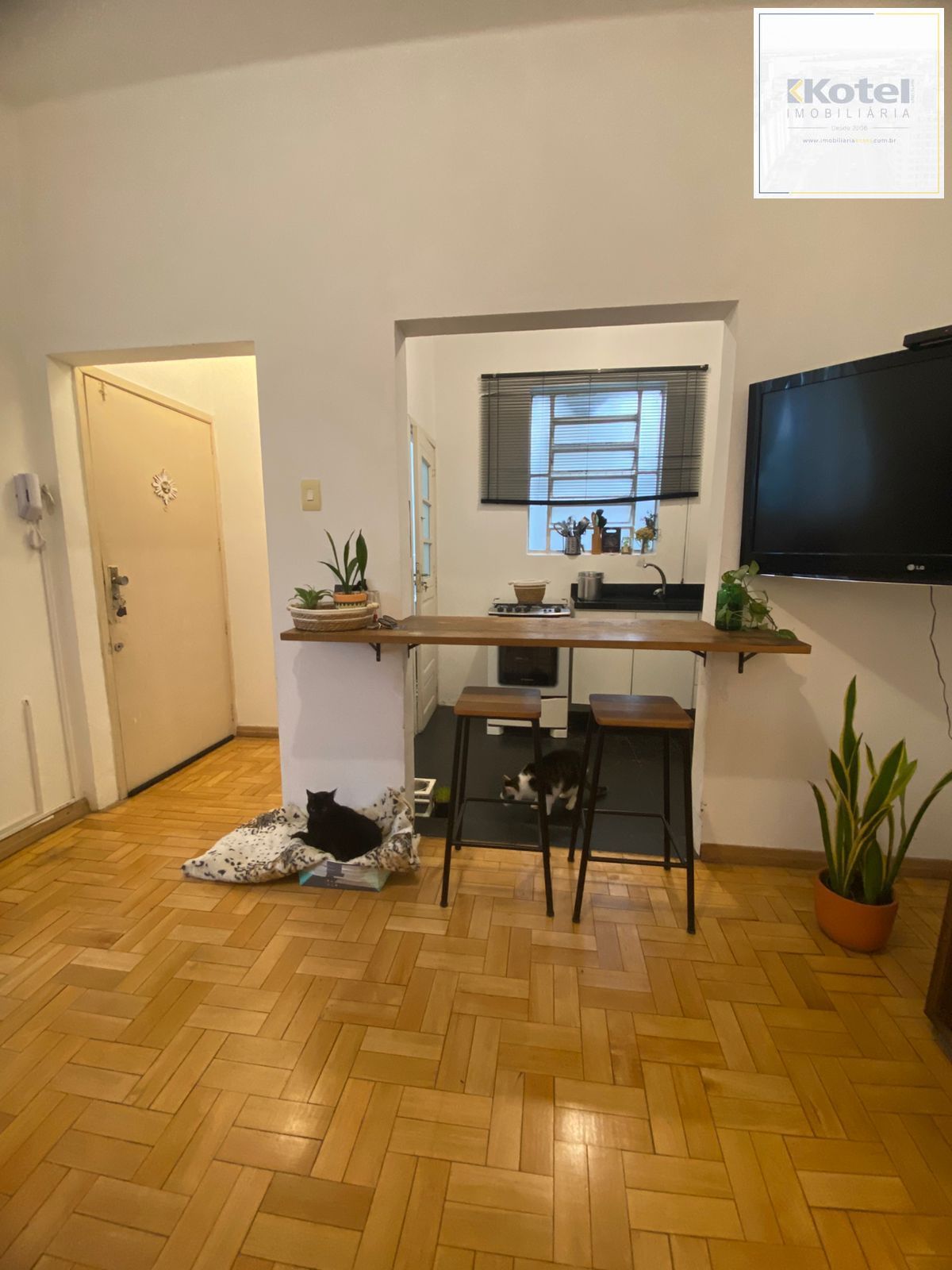 Apartamento 2 dormitórios, garden no Bom Fim