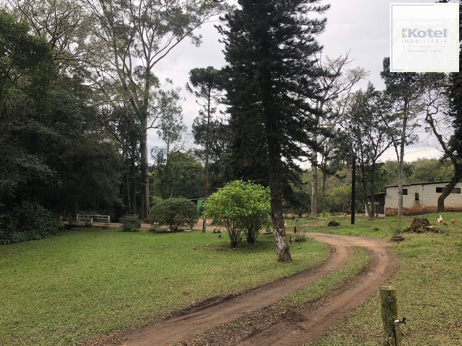 Sítio Rural de 121.672,00 M² no Bairro Belém Velho Poa-RS — foto 5