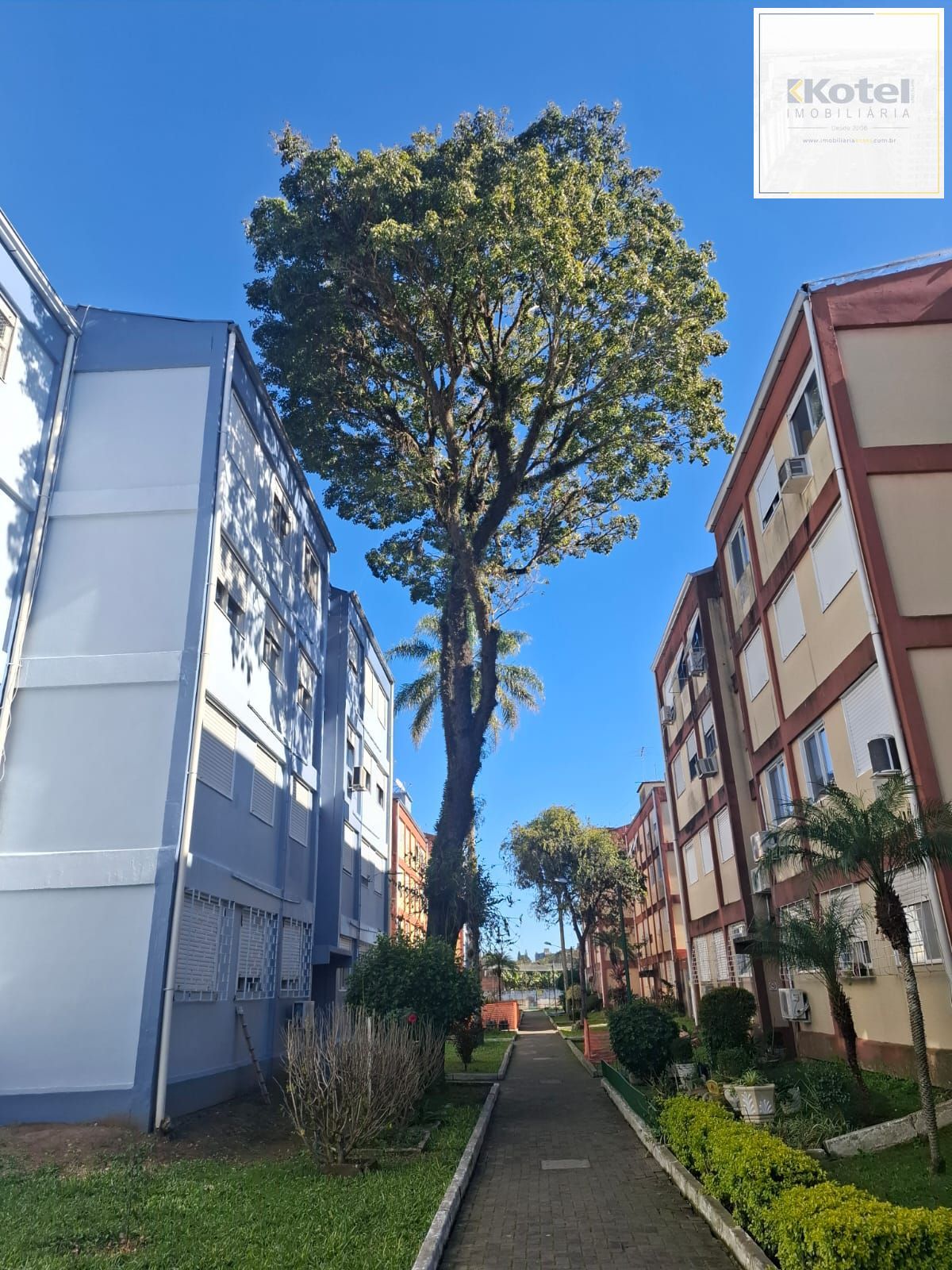 Apartamento de 02 dormitórios no Bairro Camaquã em Porto Alegre- RS