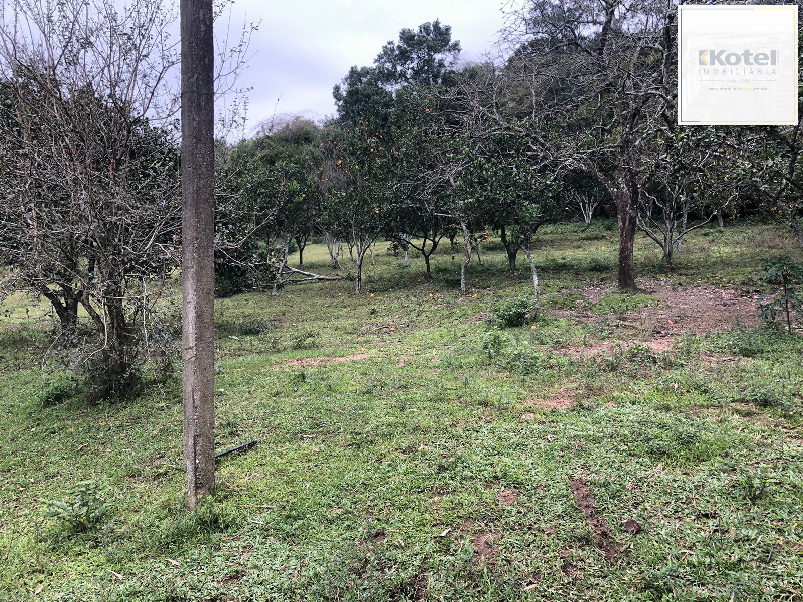 Sítio Rural de 121.672,00 M² no Bairro Belém Velho Poa-RS — foto 4