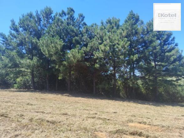 Oportunidade Única! Terreno Residencial com 1.943m² à Venda em Viamão, RS