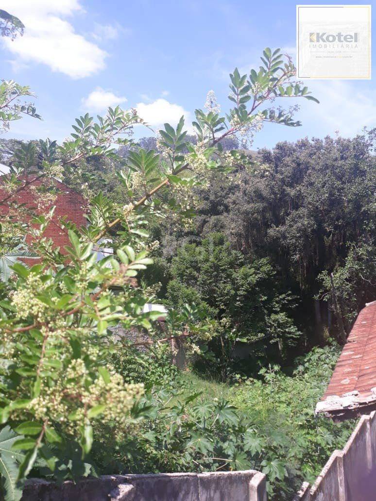 Terreno - 466m²,  Bairro Teresópolis, Porto Alegre-RS — foto 4