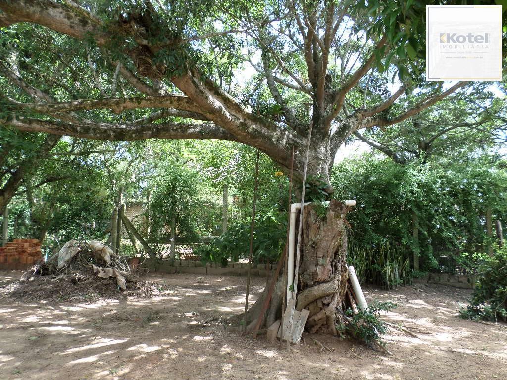 Terreno no Lami — foto 4