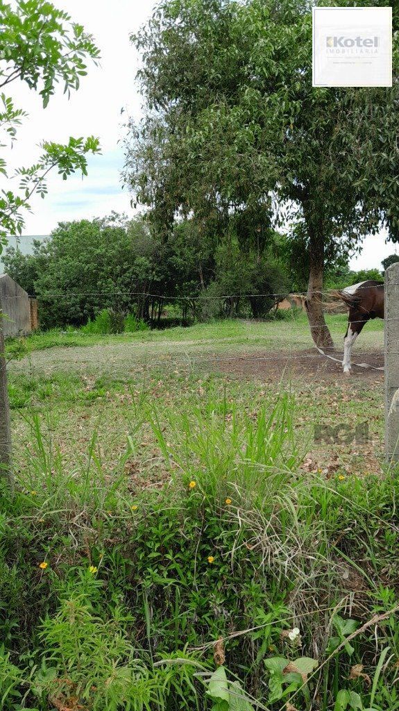 Terreno 1.000m² no bairro Lageado em Porto Alegre — foto 4