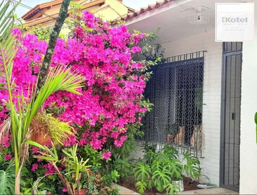 Casa com 3 dormitórios e edícula nos fundos no bairro Nonoai. — foto 3