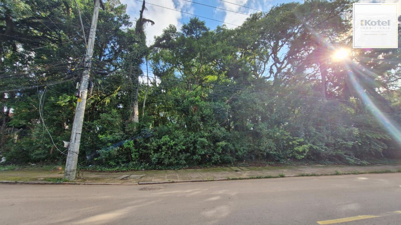 Terreno grande no bairro teresopolis — foto 3