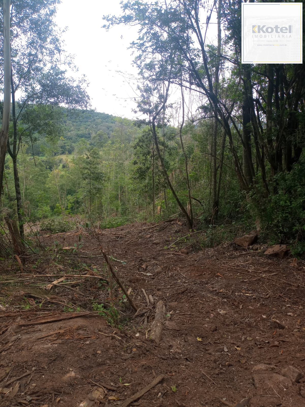 Terreno à venda, Padilha - Taquara — foto 4