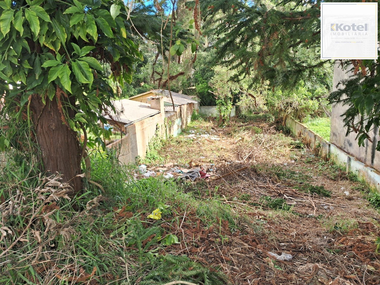 Terreno, à venda, Teresópolis - Porto Alegre — foto 2