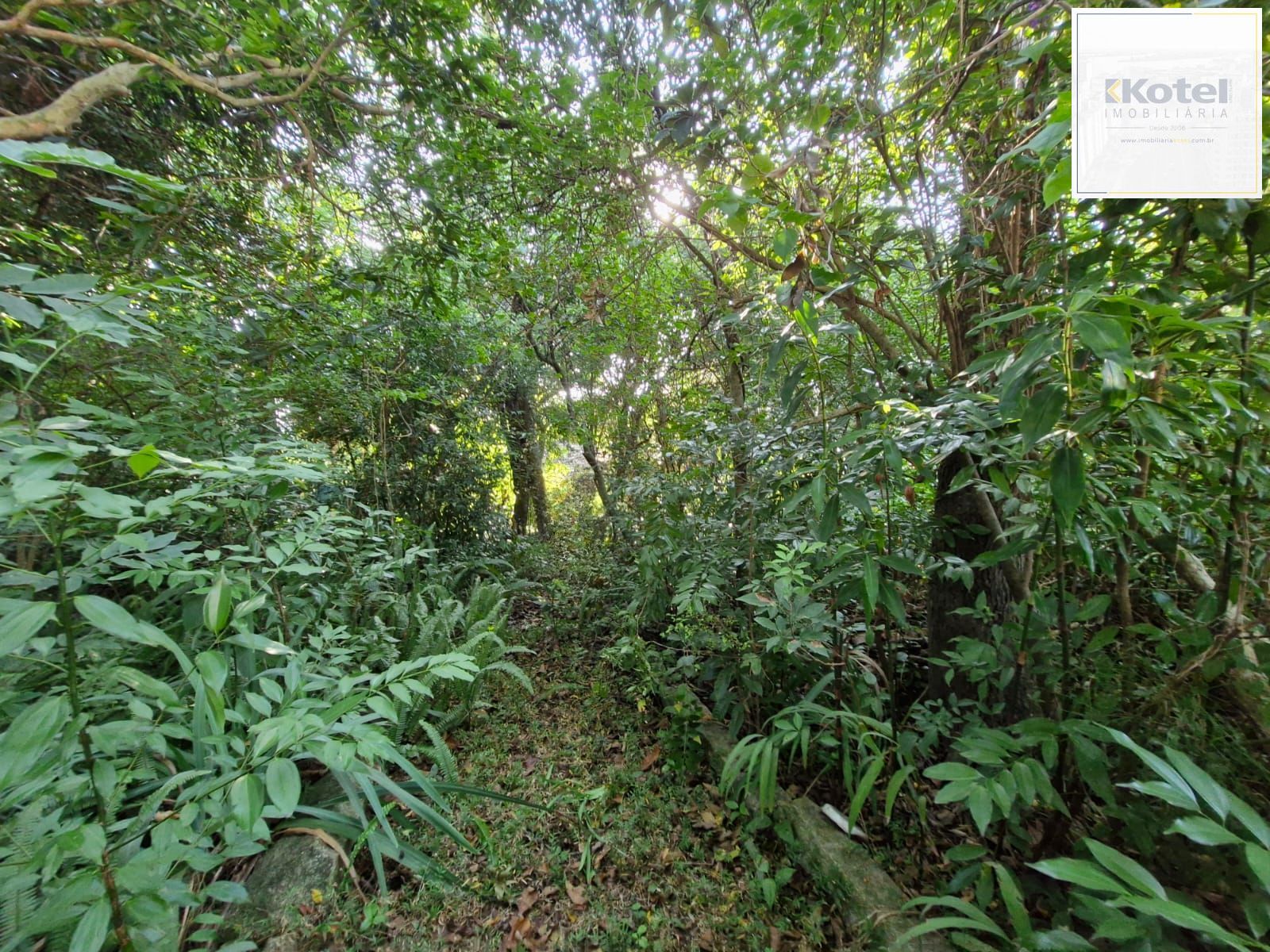 Terreno à venda, Teresópolis - Porto Alegre — foto 4