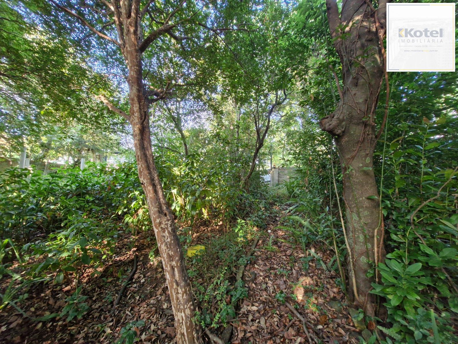 Terreno à venda, Teresópolis - Porto Alegre — foto 3