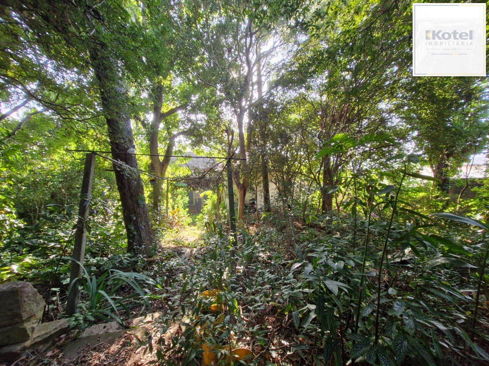 Terreno à venda, Teresópolis - Porto Alegre — foto 5