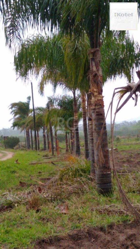 Area para Venda - 7787.1m², 0 dormitórios, Centro
