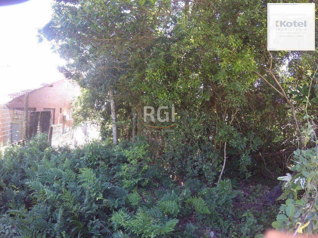Terreno para Venda - 524.4m², 0 dormitórios, Teresópolis — foto 3