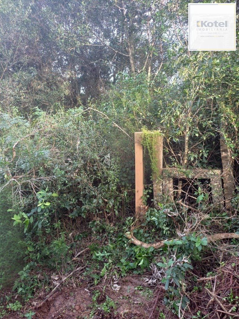 Terreno no bairro Aberta dos Morros em Porto Alegre — foto 4