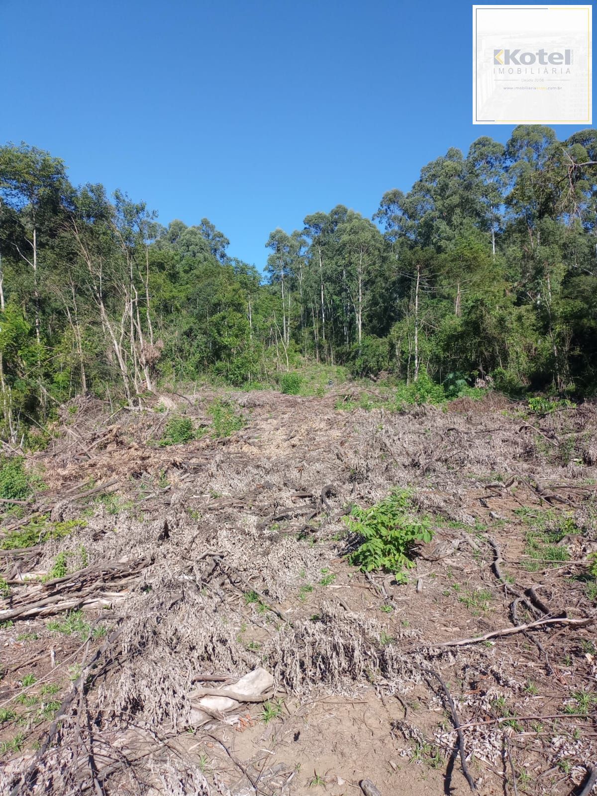 Terreno à venda, Padilha - Taquara — foto 3