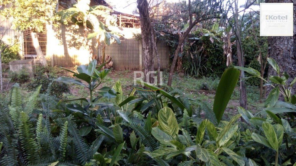 Terreno para Venda - 0m², 0 dormitórios, Medianeira — foto 3