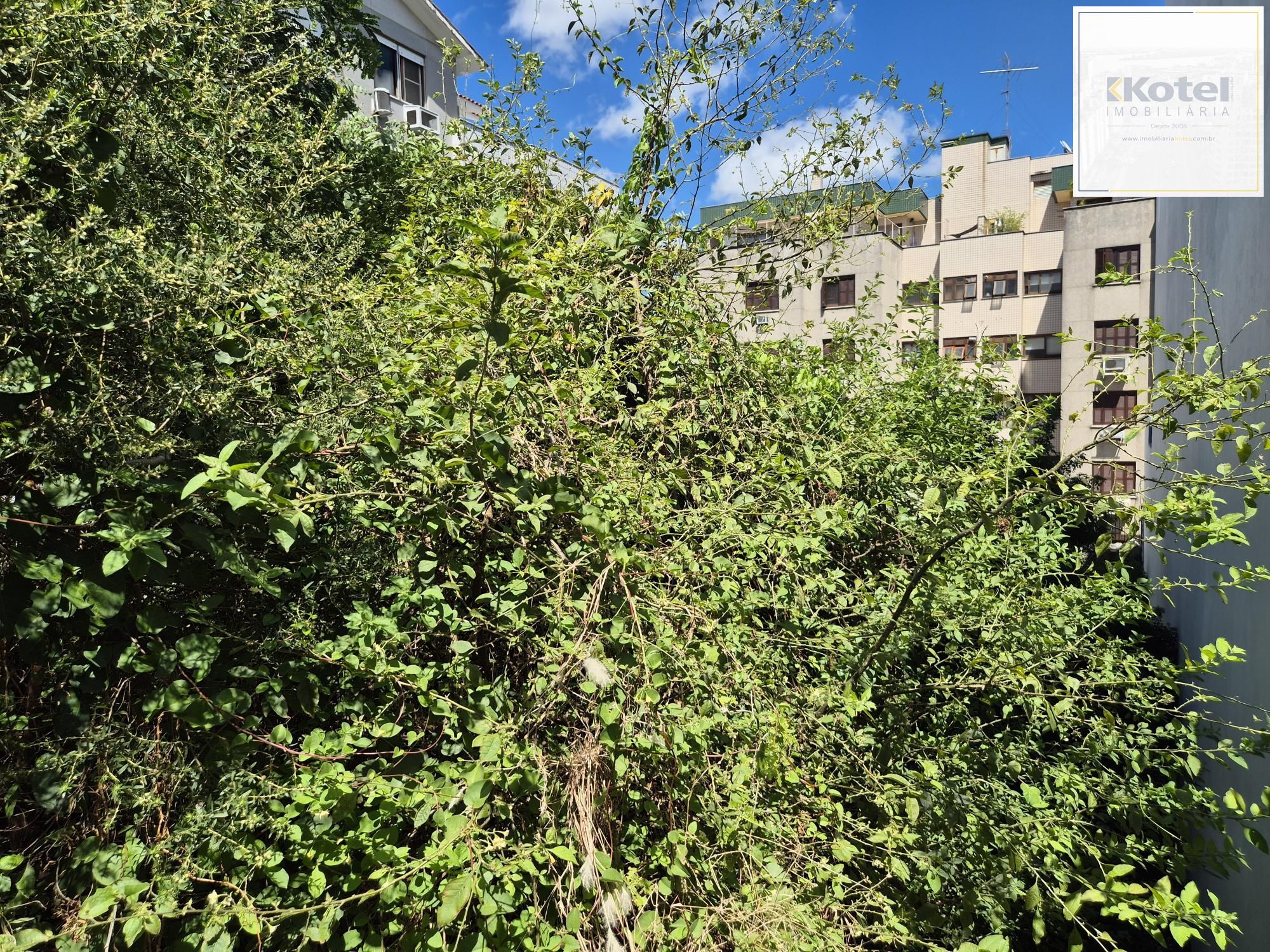 Terreno com 360m² — foto 3