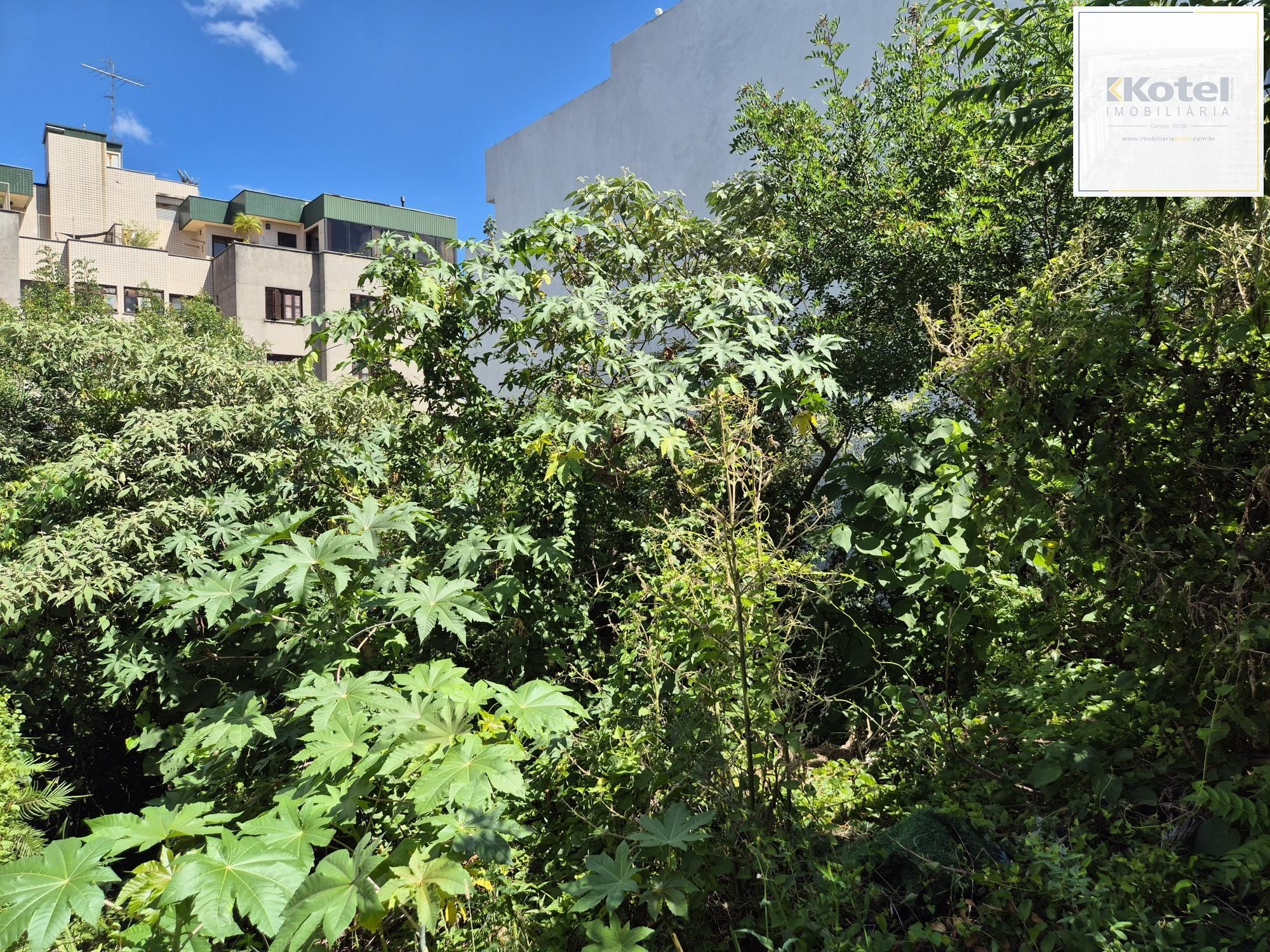 Terreno com 360m² — foto 4