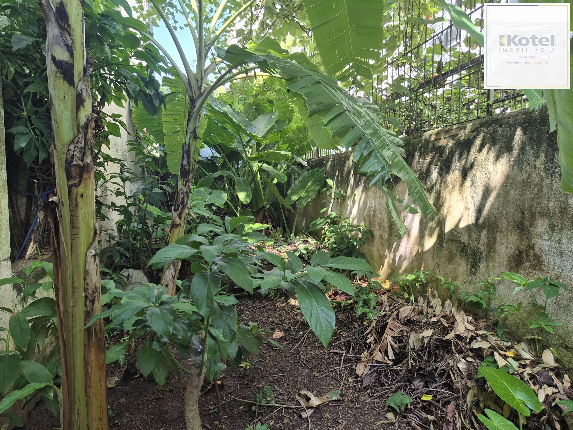 Terreno para investidores — foto 3
