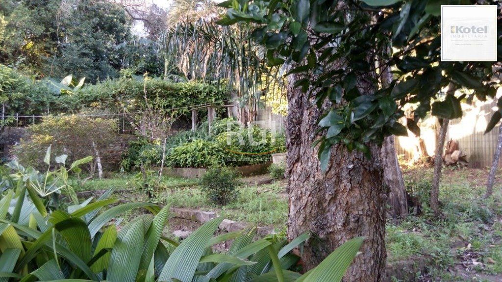 Terreno para Venda - 0m², 0 dormitórios, Medianeira — foto 5