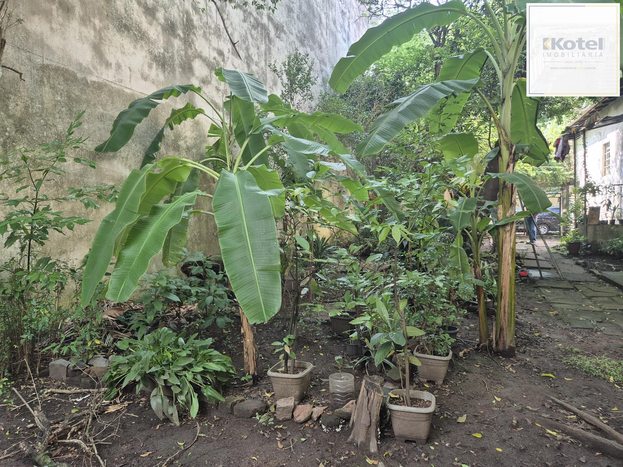 Terreno para investidores — foto 4