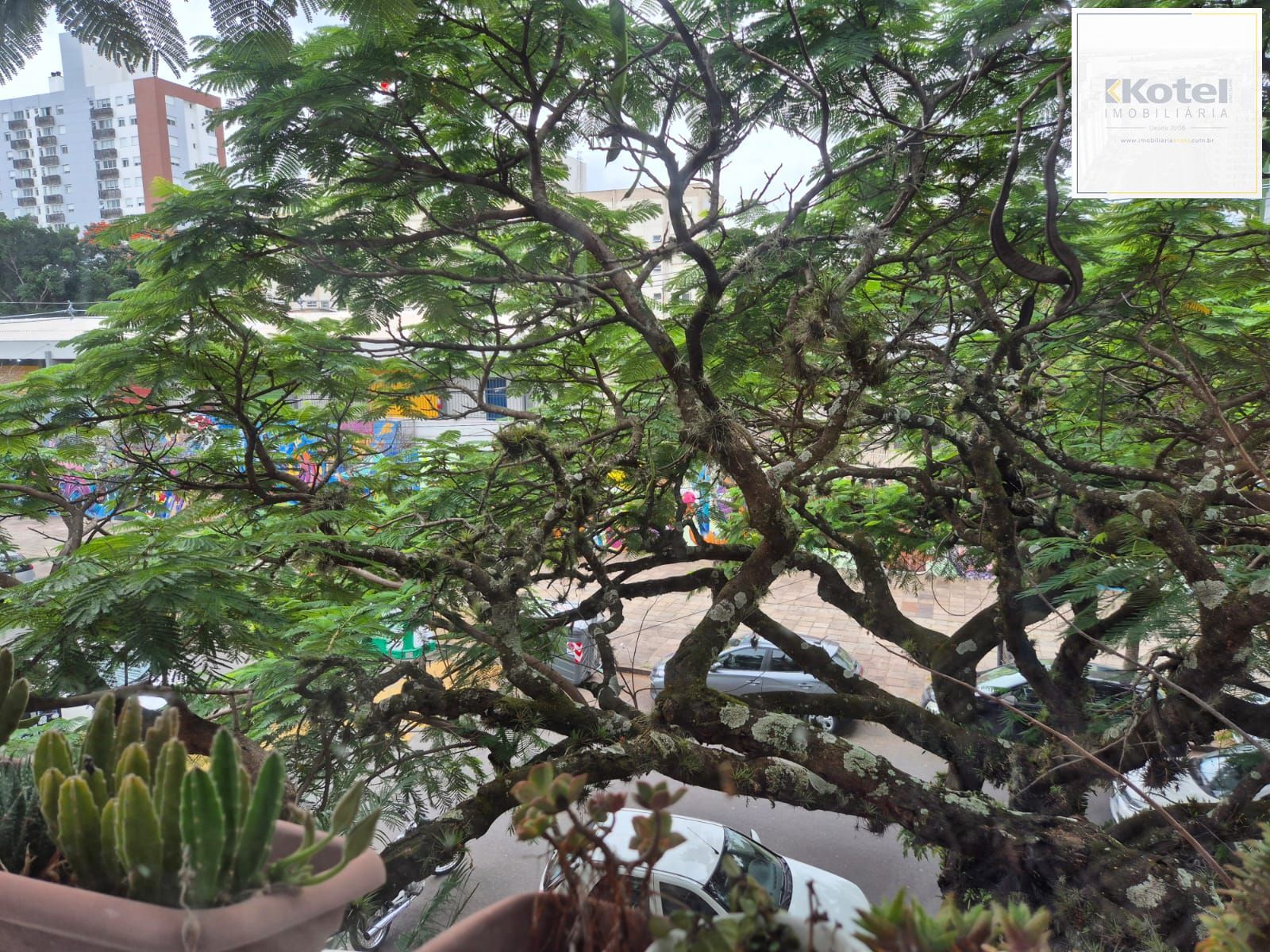 2 Dormitórios com terraço — foto 4