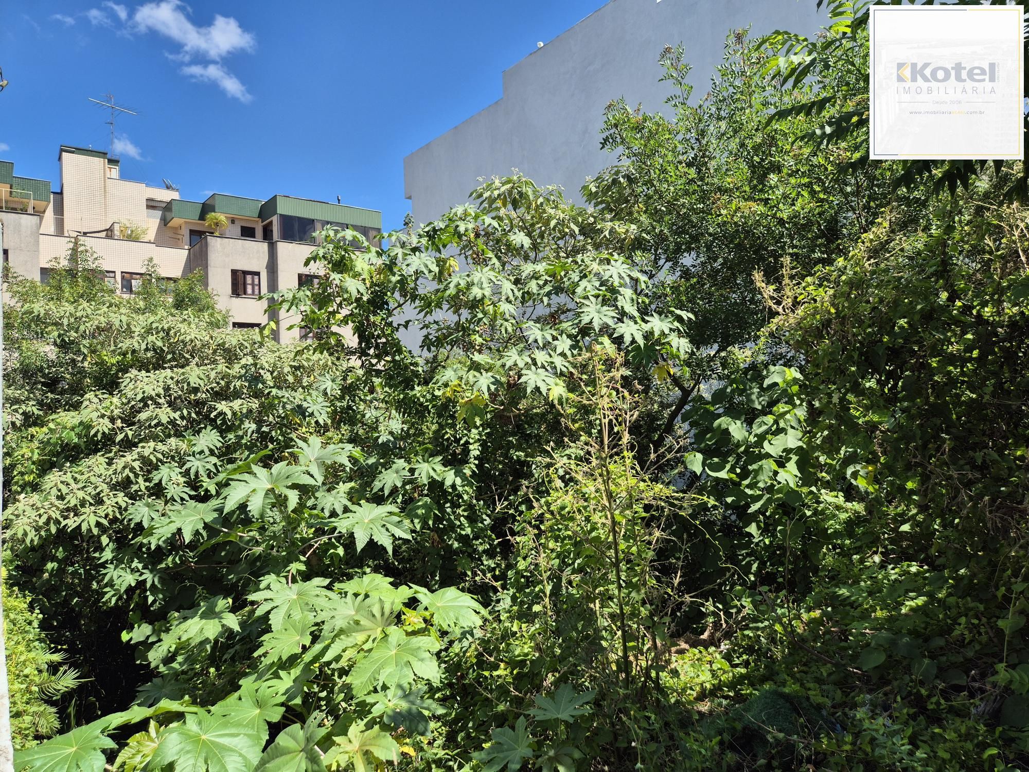 Terreno com 360m² — foto 5