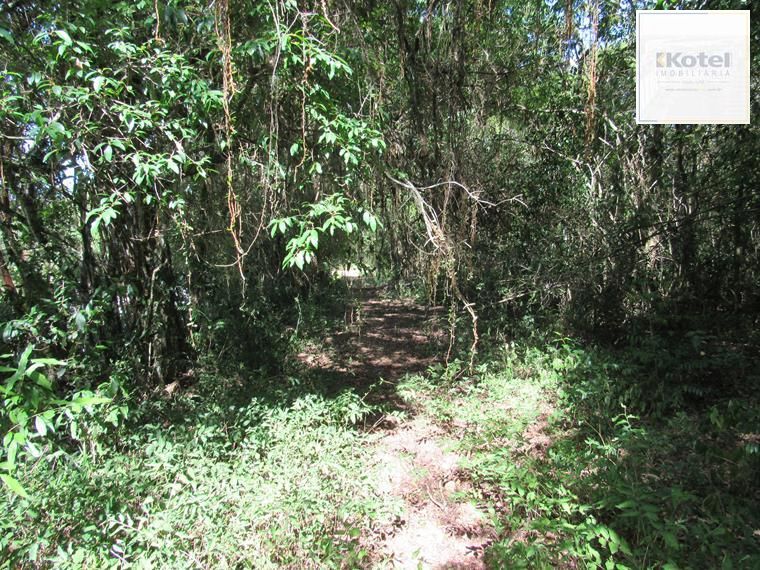 Área 53851,44 m²  no Beco da Paixão Bairro Lomba do Pinheiro — foto 4
