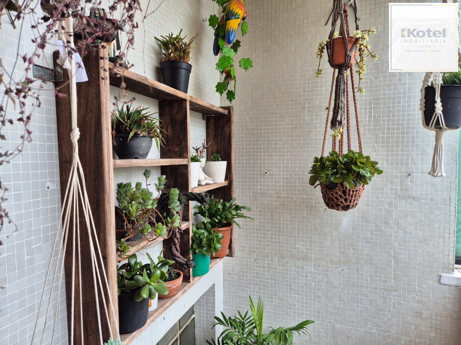 2 Dormitórios com terraço — foto 5