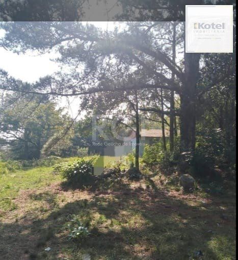 terreno - 180 m² - Lomba do Pinheiro — foto 2