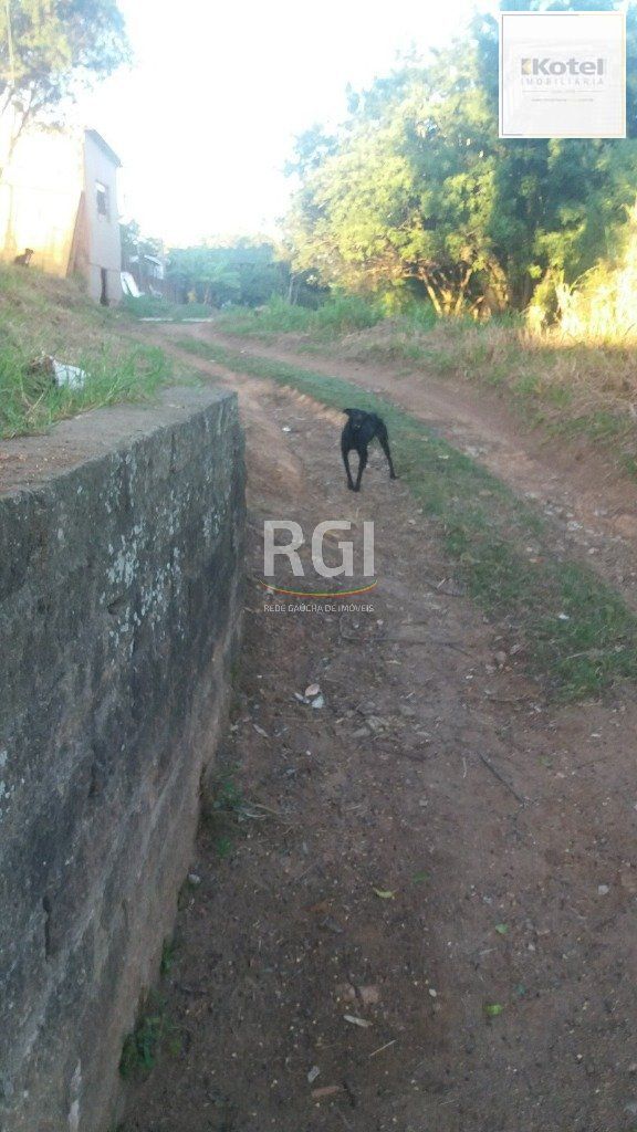 Terreno para Venda - 0m², 0 dormitórios, Nonoai — foto 3