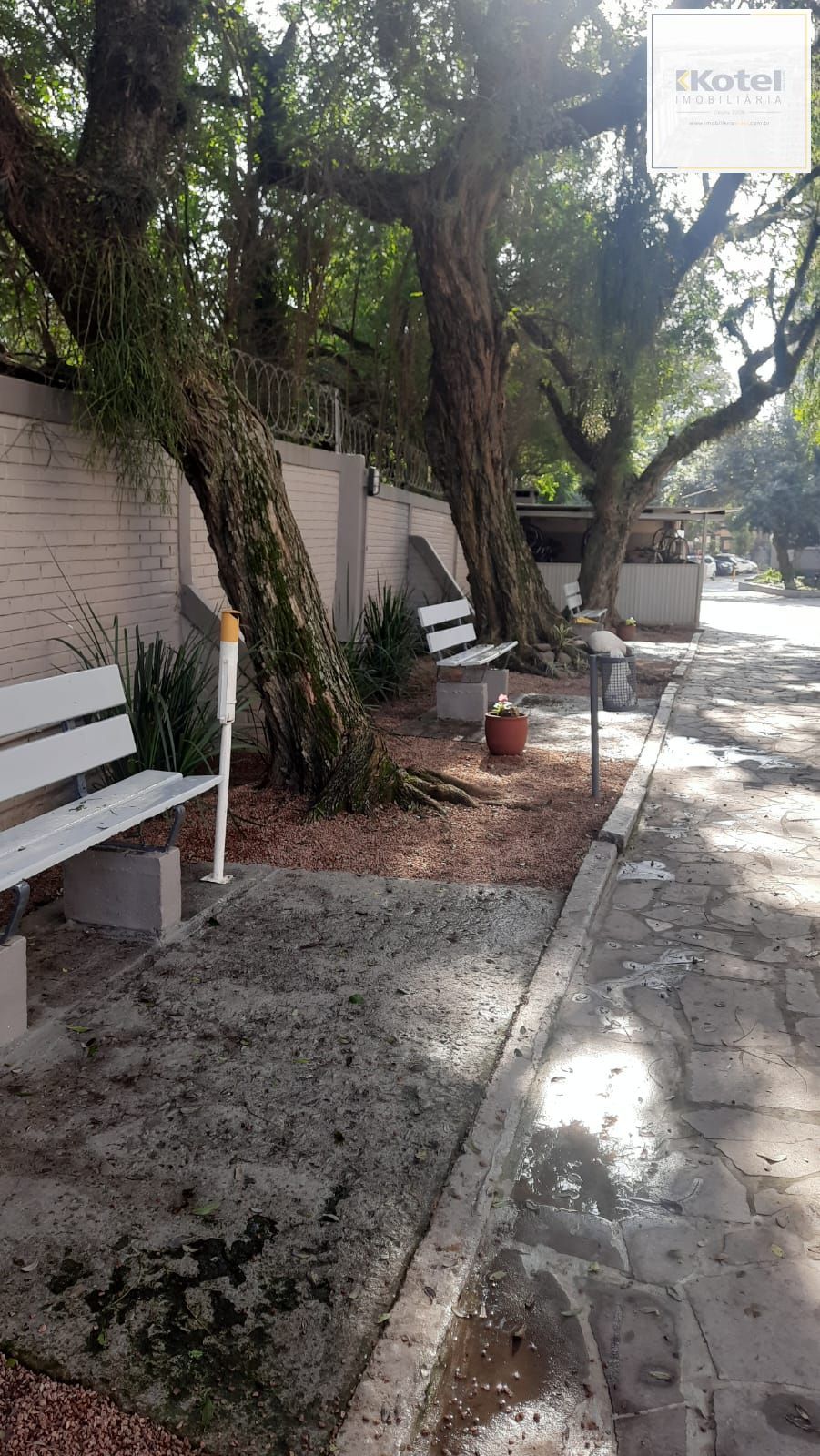 APARTAMENTO LOCAÇÃO NA CEL. MASSOT — foto 3