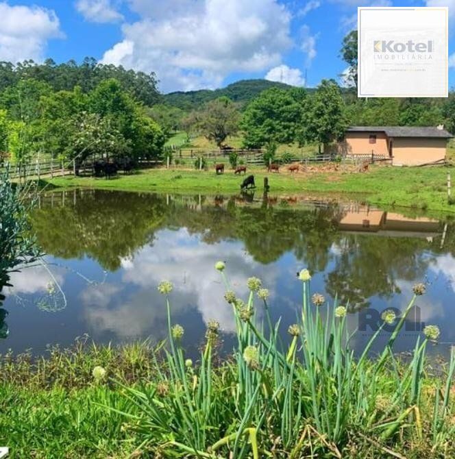 Sítio 4 quartos à venda, 22000m², Centro - Taquari — foto 4