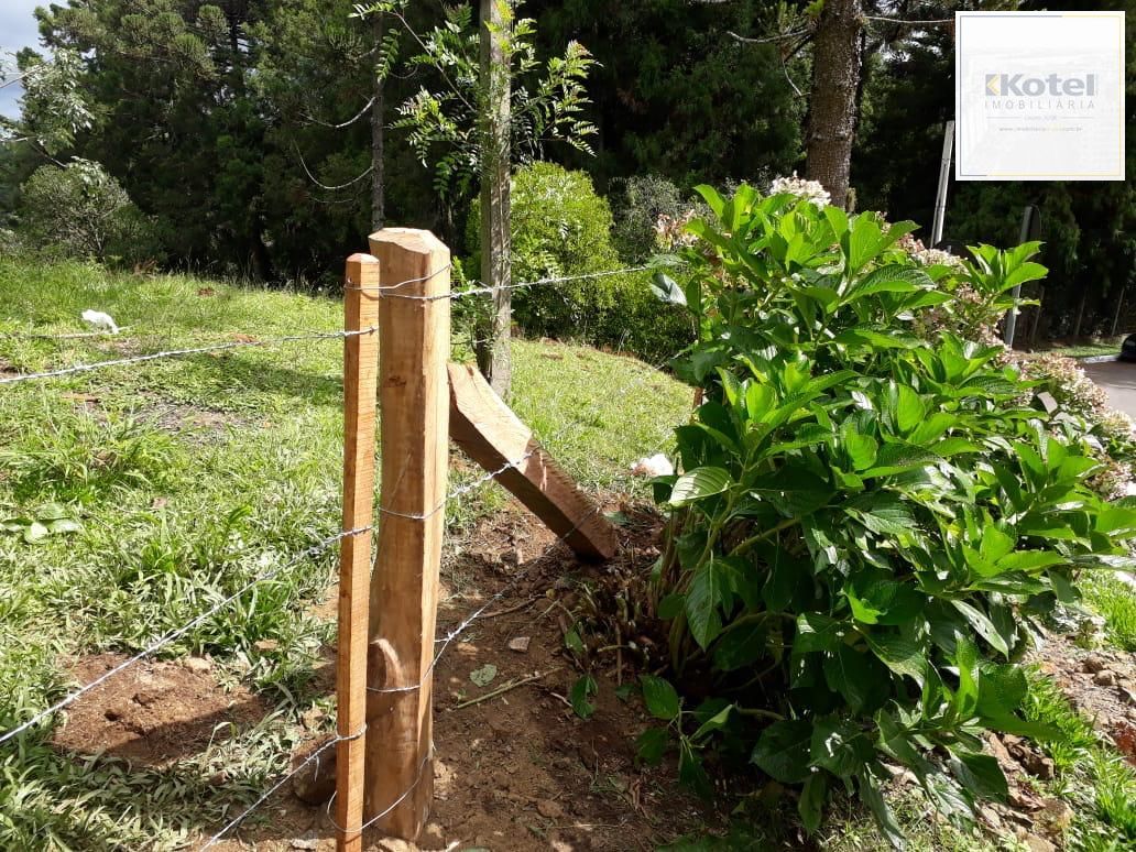 Terreno à venda, Britadeira - São Francisco de Paula — foto 5